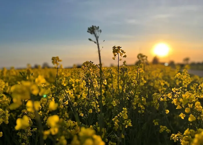 & Natzke * Usedom Town